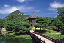 黑客在线qq接单便宜（黑客在线接单便宜2494山24小时中国3）